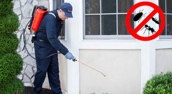 Çamlık Gümüşkurt İlaçlama böcek ilaçlama ve haşere kontrolü — ilaclama-tr.com